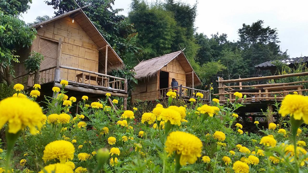 Baan Aingdoi Homestay, Chiang Dao Exterior photo