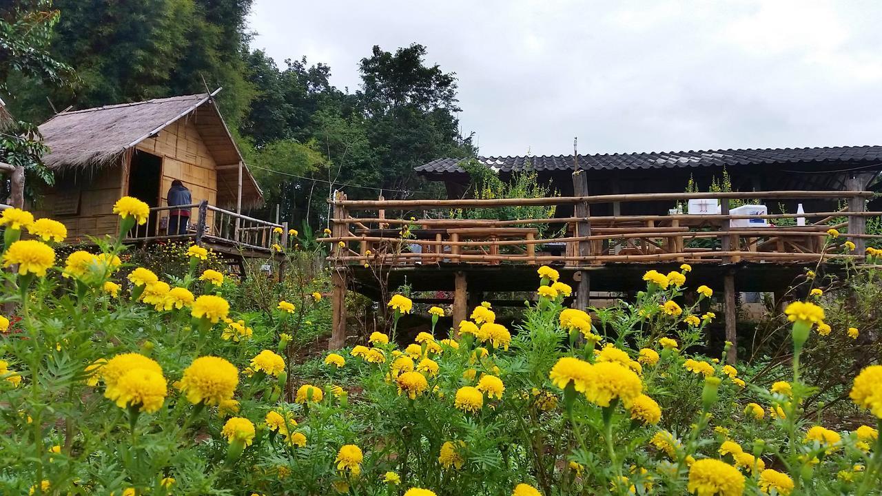 Baan Aingdoi Homestay, Chiang Dao Exterior photo