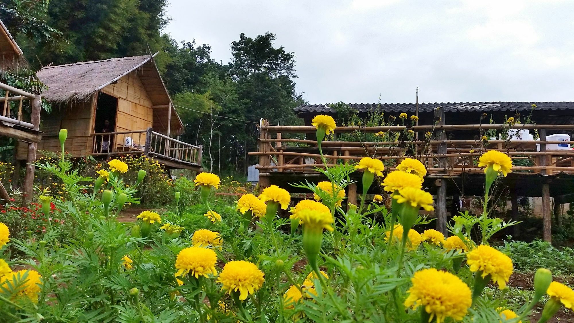 Baan Aingdoi Homestay, Chiang Dao Exterior photo