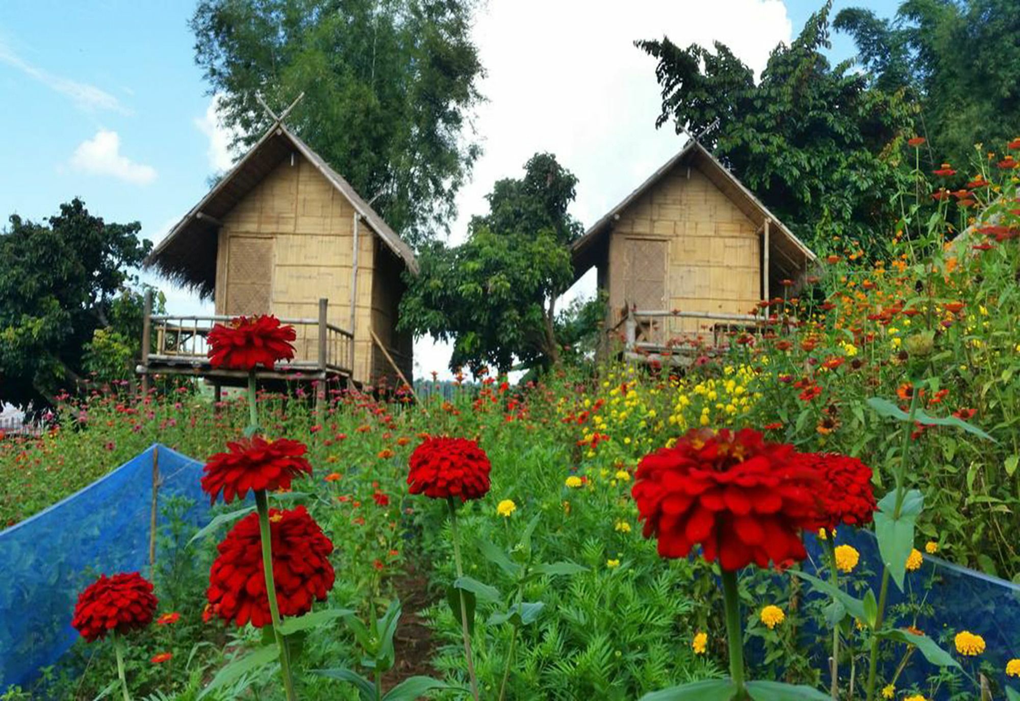 Baan Aingdoi Homestay, Chiang Dao Exterior photo