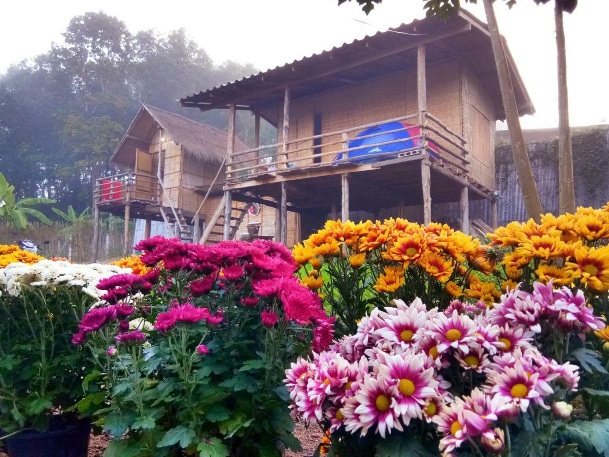 Baan Aingdoi Homestay, Chiang Dao Exterior photo