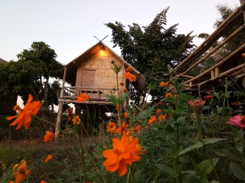Baan Aingdoi Homestay, Chiang Dao Exterior photo