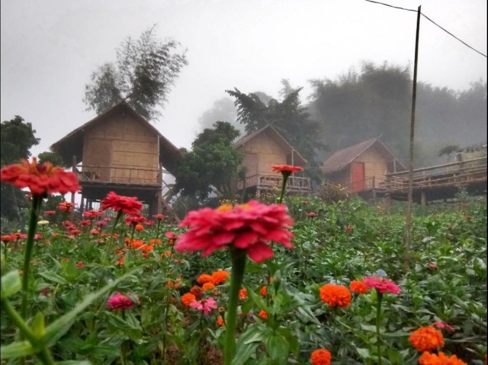 Baan Aingdoi Homestay, Chiang Dao Exterior photo